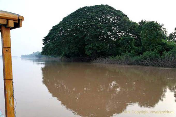 Tree ball, Mekong, South Laos, Lao
