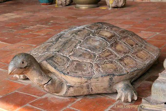 Stone turtle, Haw Phra Kaew, Vientiane, Lao