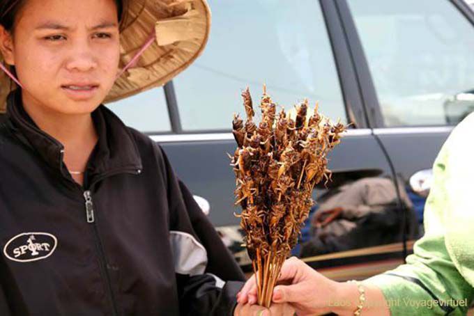 Woman selling fried grasshoppers, Vat Phou, Lao