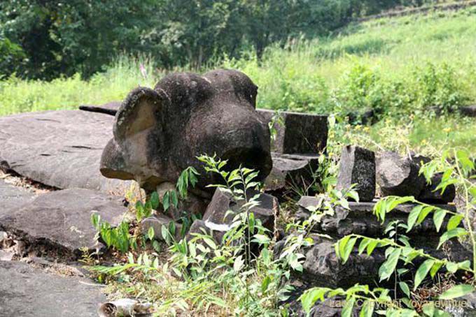 Elephant remains, Wat Phou, Lao