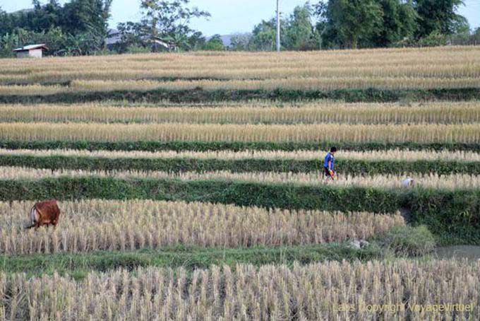 Peasant geometry, Xieng Khouang, Lao