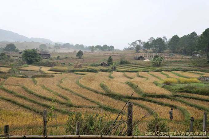 Sculpted fields Xieng Khouang, Lao