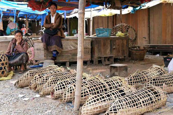 Vendors hog market Phonsavan, Xieng Khouang, Lao