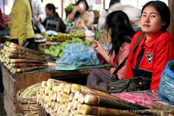 Sticky rice in sugarcane, Xieng Khouang, Lao
