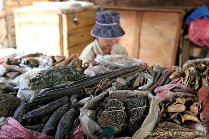 Lao market Pharmacopoeia Xieng Khouang, Lao