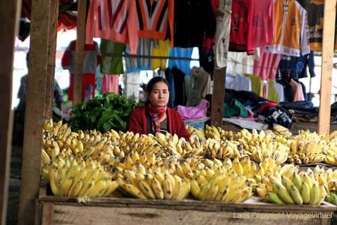 Woman selling bananas, Xieng Khouang, Lao