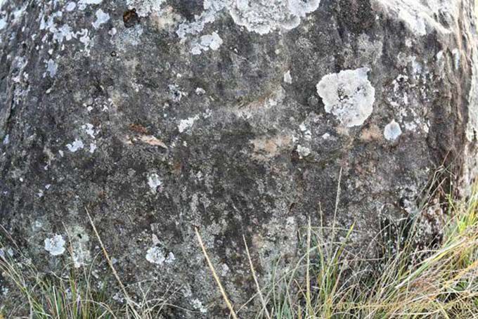Detail of carving jar Plain of Jars, Lao