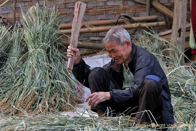 Crop threshing Thai Dam, Xieng Khouang, Lao