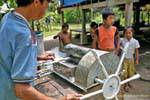 Sugarcane pressing, Khone Island, Lao.