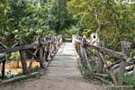 Wooden bridge on the path of Li Phi falls, Khone Island, Lao.