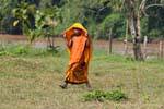Don Khon, little monk in orange dress, Lao.