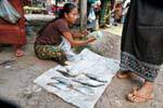 Fresh fish at the market, Khong Island, Lao.