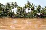 On the River of Mekong Laos Sud, Lao.