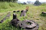 Elongated Statue, Wat Phou, Lao.