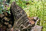 Chiseled Ruin, Wat Phou, Lao.