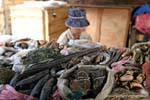 Lao market Pharmacopoeia Xieng Khouang, Lao.