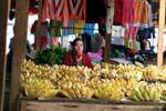 Woman selling bananas, Xieng Khouang, Lao.