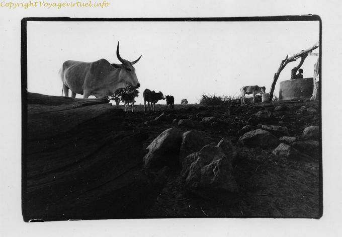 Debecurumba Puit Mali