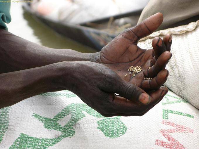 Entre Mopti et Tombouctou Pinasse Mil Mali