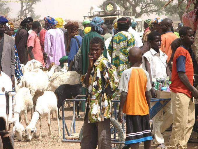 Sarro Effervescence Mali