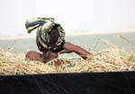 Princesse africaine dans la paille, entre Mopti et Tombouctou, Mali.