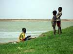Jeunes spectateurs sur la rive du fleuve, Mali.
