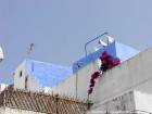 Blue-white, Asilah terrace, Morocco.