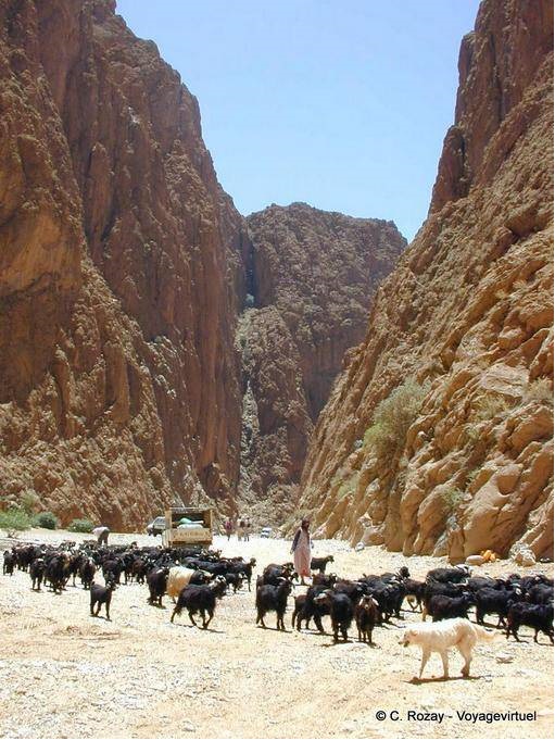 Todgha Gorge (Todgha) to Tinghir - Morocco
