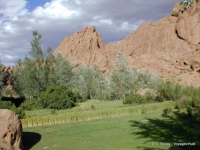 Dades Gorge, Morocco contrast - Morocco