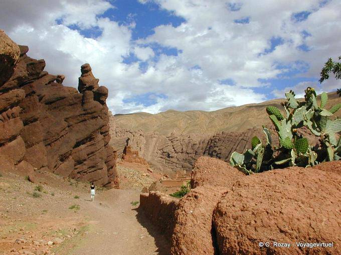 Red walk in the brain of the Atlas, Dades - Morocco