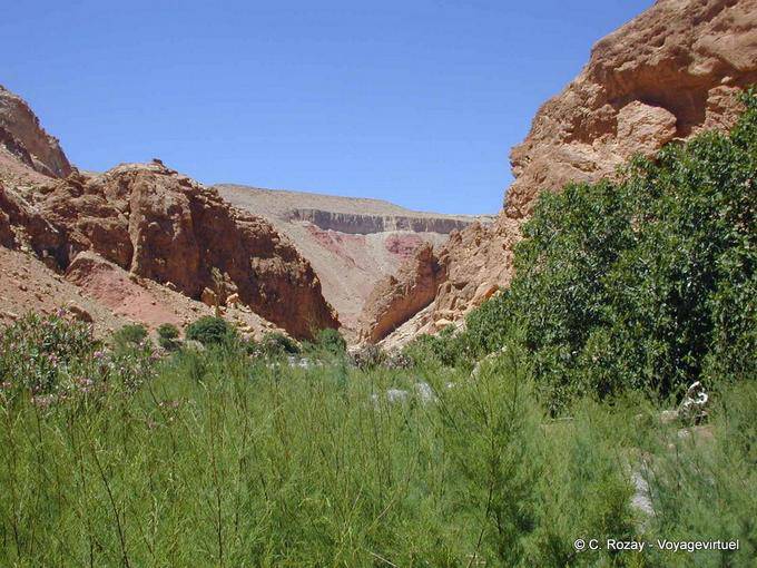 Greenery and aridity of the Rose Valley - Morocco