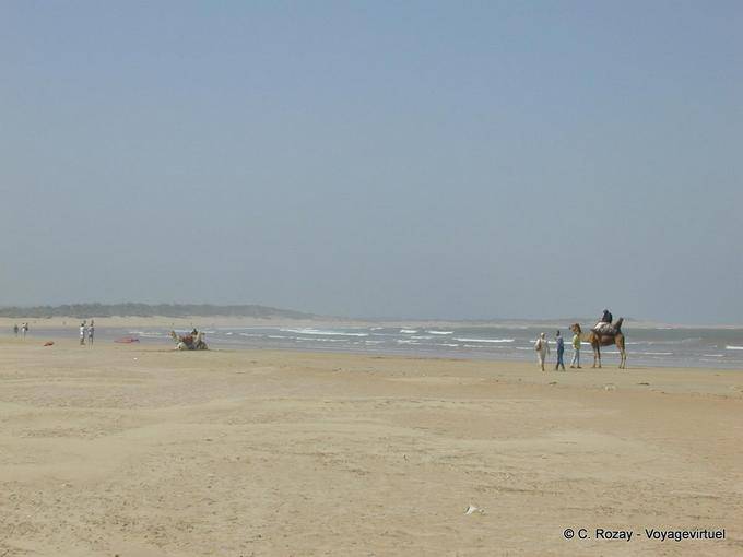 Essaouira, the beach Tagharte - Morocco