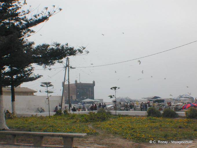 The Genoese citadel view from a garden, Essaouira - Morocco