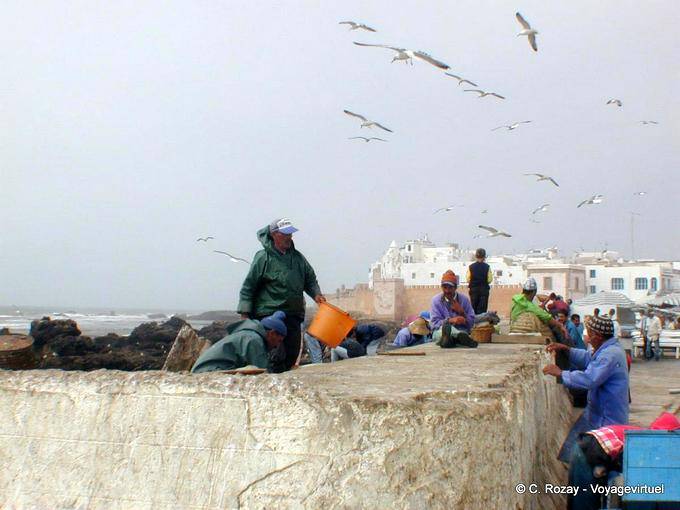 Essaouira, sailors working on the port - Morocco