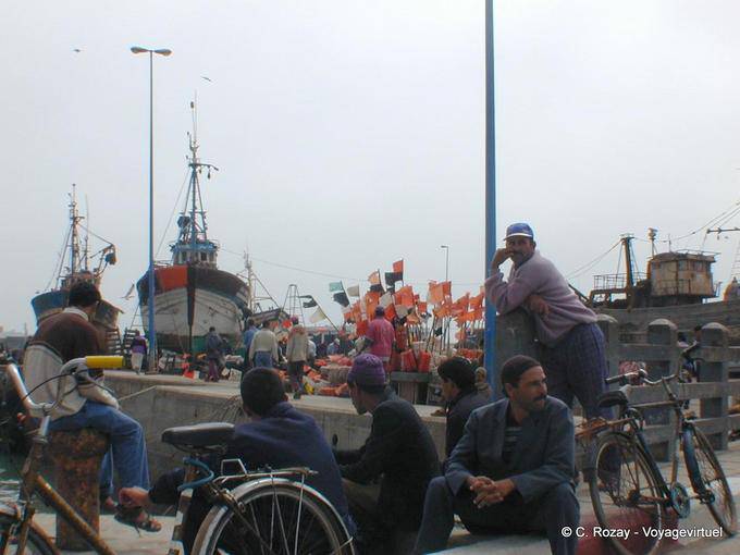 Waiting at the port side trawlers, Essaouira - Morocco