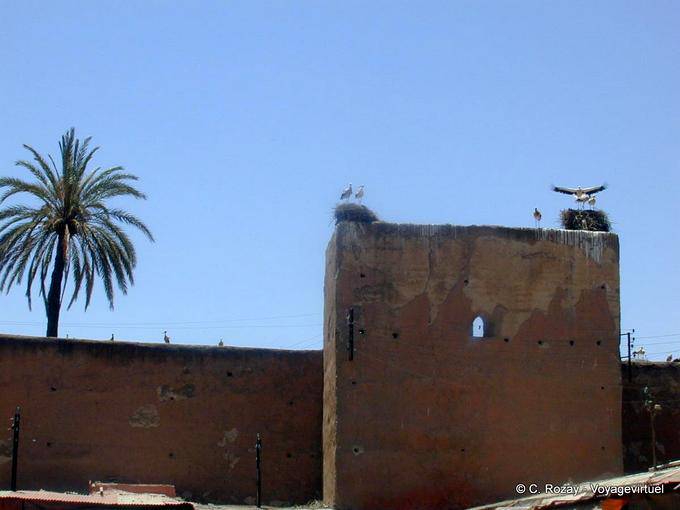 Storks nested on the ramparts, Marrakech - Morocco
