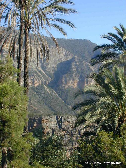 Paradise Valley, palm trees and landscape - Morocco