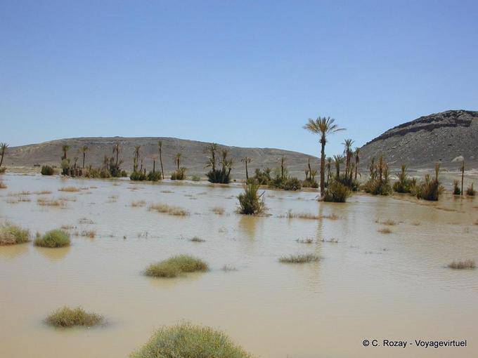 Lake formed by the miracle of rain in the desert to Merzouga - Morocco