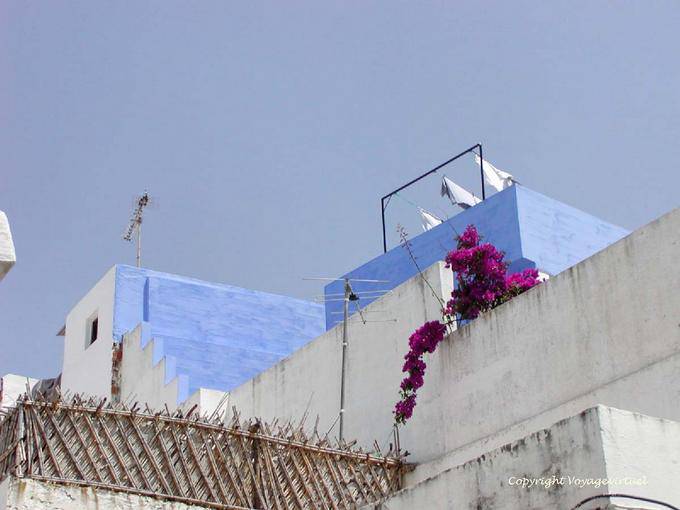 Blue-white, Asilah terrace - Morocco