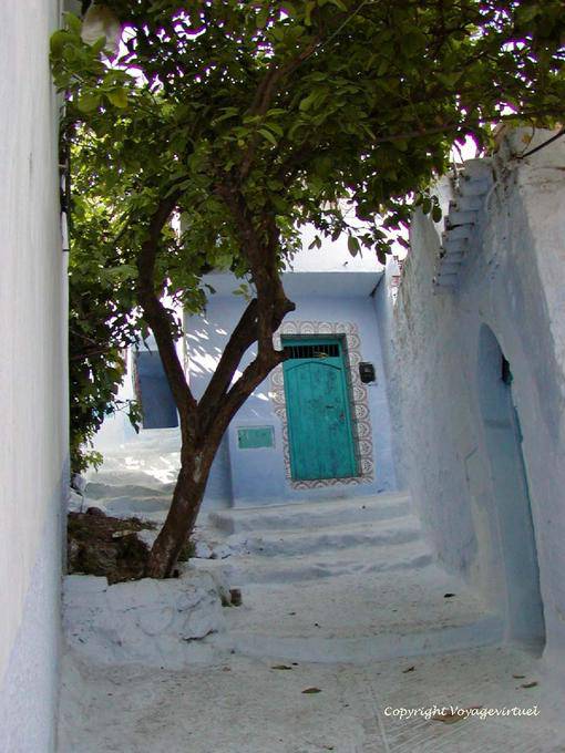 Orange on the stairs, Chefchaouen - Morocco