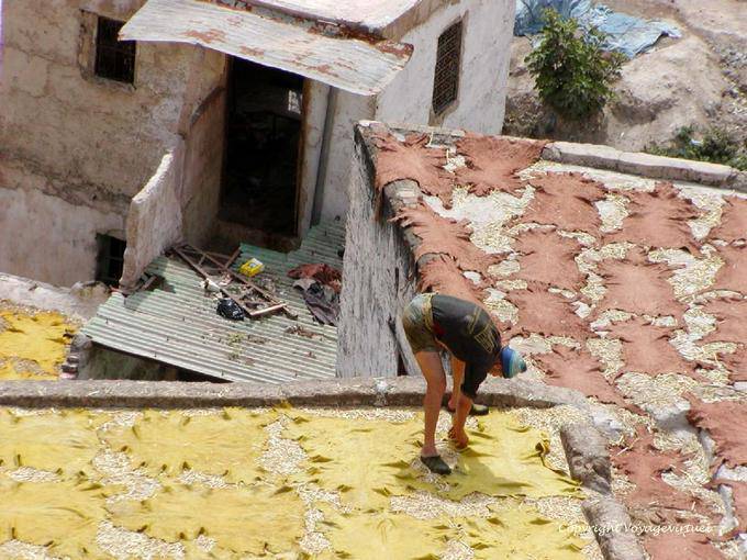 The drying of skin to the sun on the terraces of Chouara, Fes - Morocco