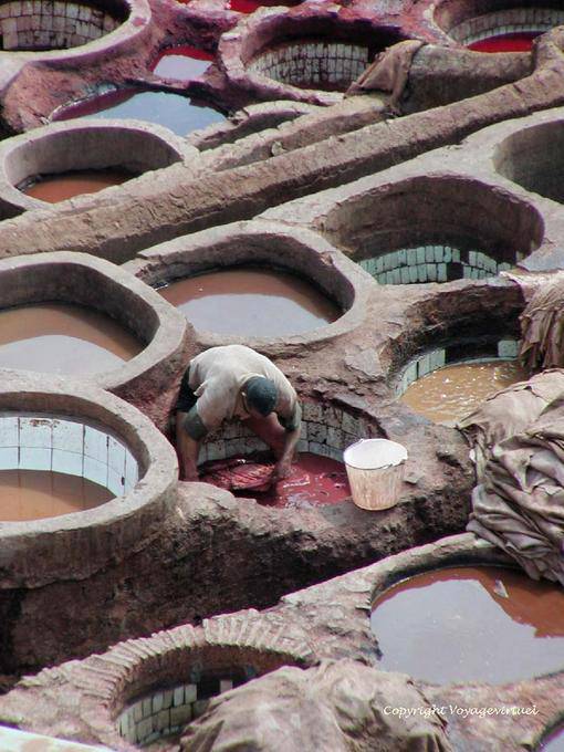 The hard work of the coloration of skins, Fes tanneries - Morocco