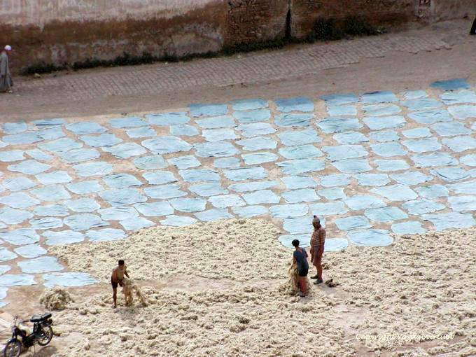 Drying of the skin and sheep wool tanner district, Fes - Morocco