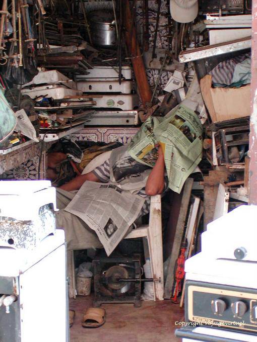 Nap in the foxhole, Marrakech - Morocco