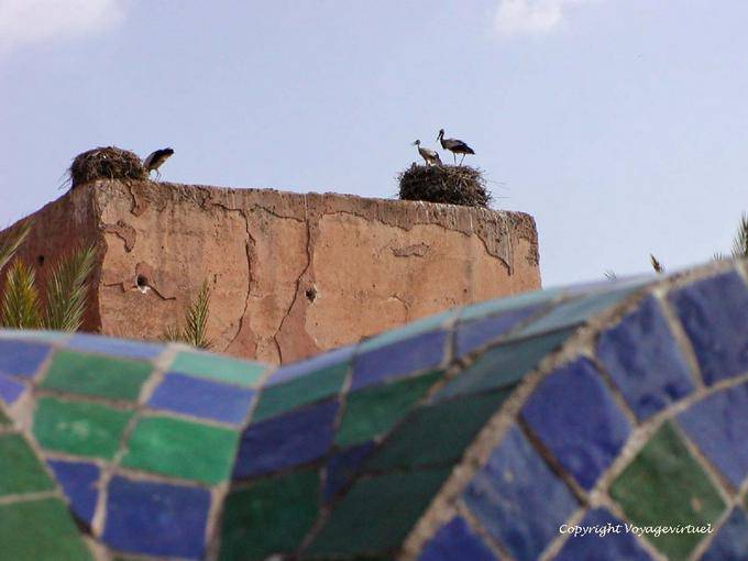 Stork nests on a wall of the rampart, Marrakech - Morocco