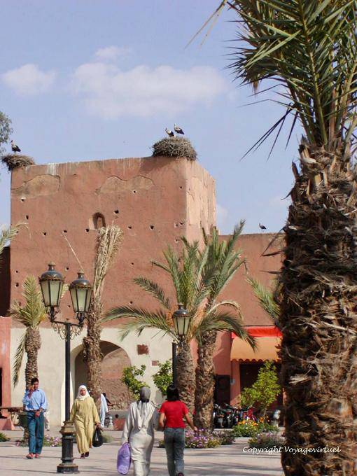 Storks on the door of the place Ferblantiers, Marrakech - Morocco