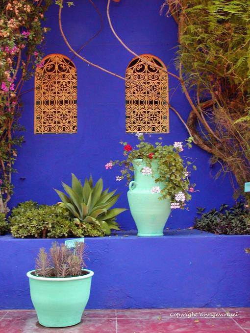 Color contrast, Jardin Majorelle, Marrakech - Morocco