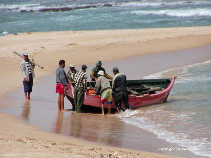 Consultation prior to loading the boat, Oualidia - Morocco