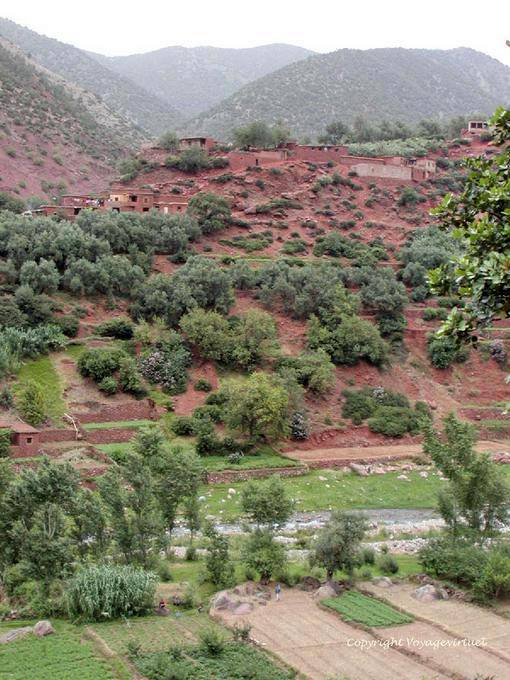 Culture in the valley and houses on the hill, Ourika Valley - Morocco