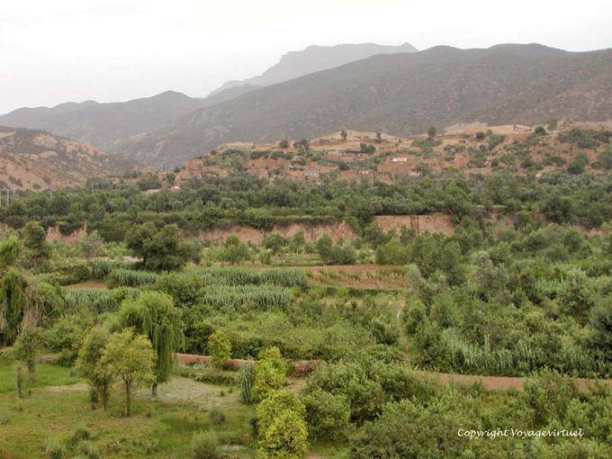 Crops and village Taljerft above the wadi, Ourika - Morocco